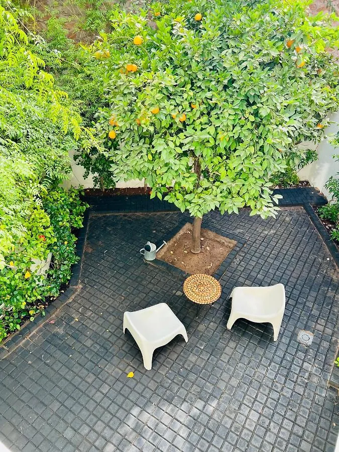 Moro Marrakech Boutique Hotel  Marrakesh