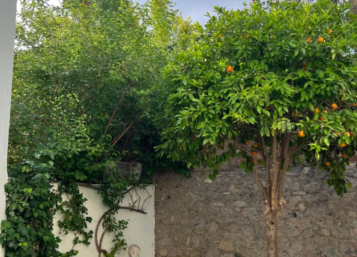 Moro Marrakech Boutique Hotel Marakéš